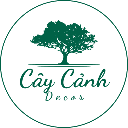 Cây Cảnh Decor